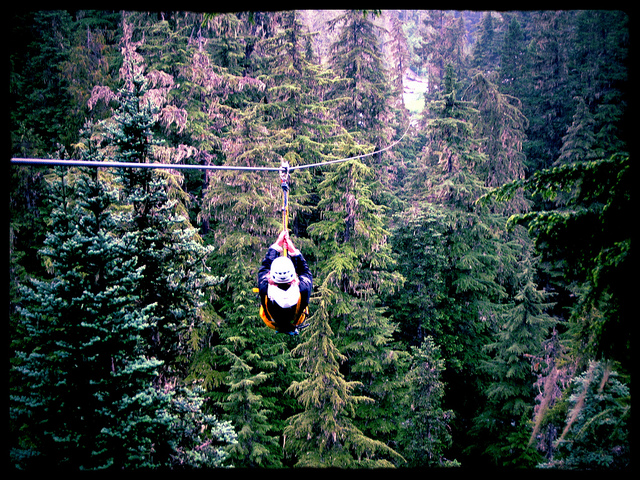 Zipping Away In The Year Of Adventure!