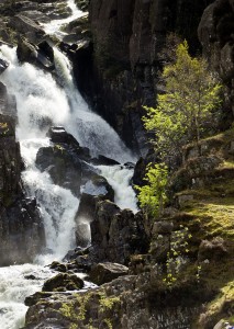snowdonia hotels