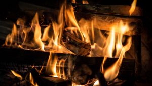firewood